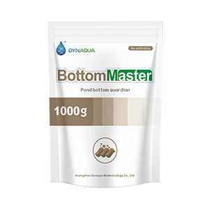 302-BottomMaster